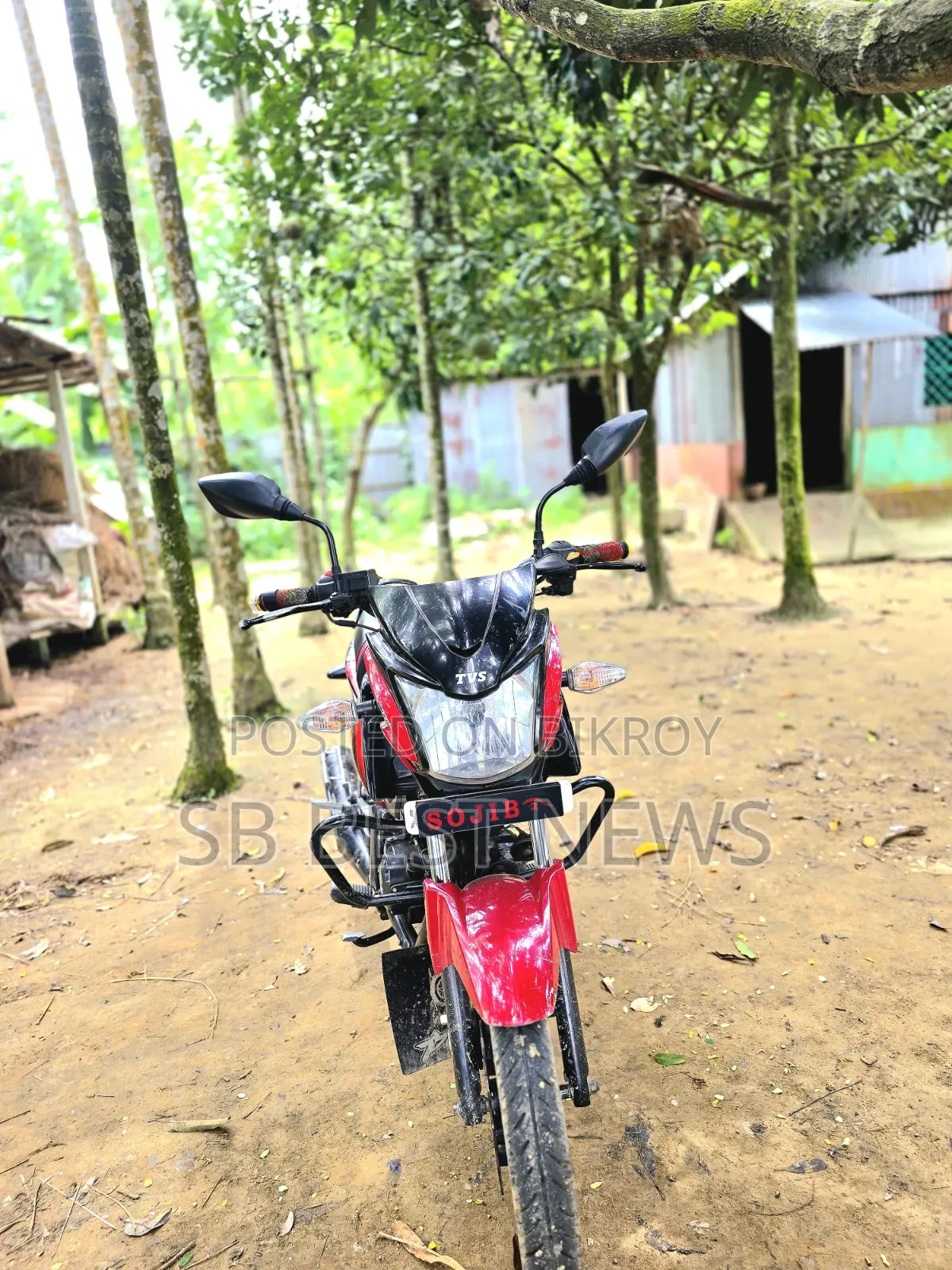 TVS Stryker 125 2023 Red