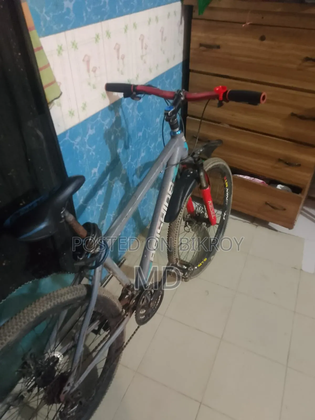 রানিং সাইকেল