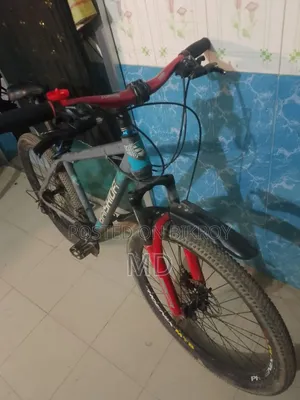 রানিং সাইকেল