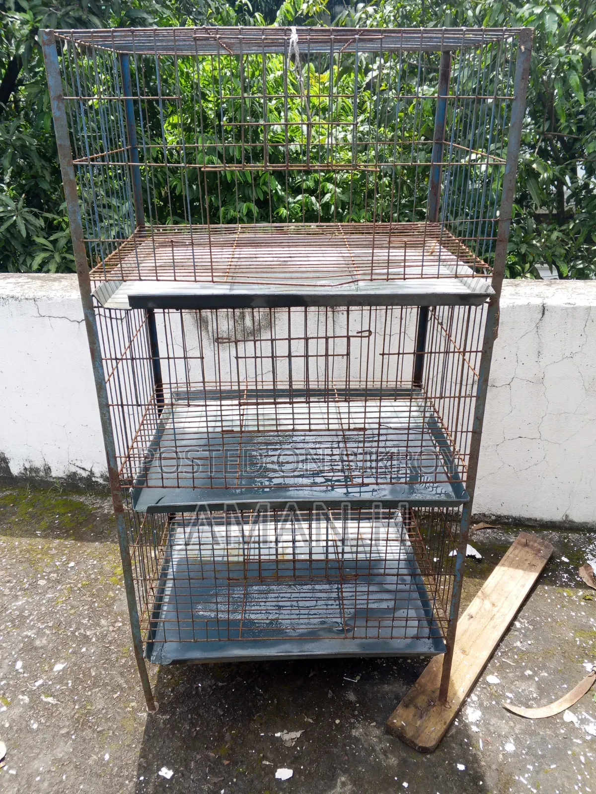 Bird Cage