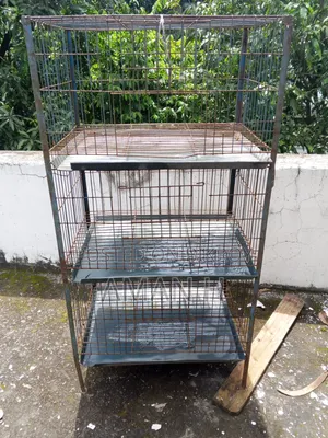 Bird Cage