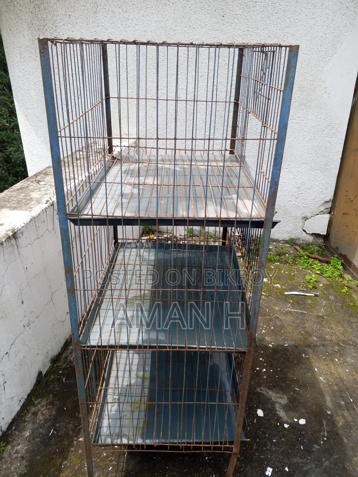 Bird Cage