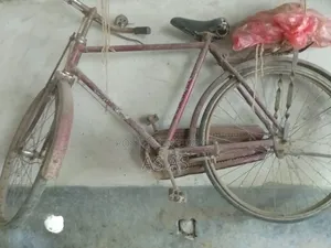 Captan Hercular for sale