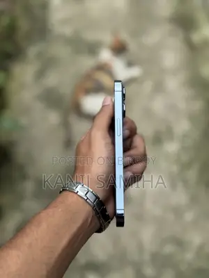 অ্যাপল আইফোন ১৩ প্রো ১২৮ জিবি ব্লু
