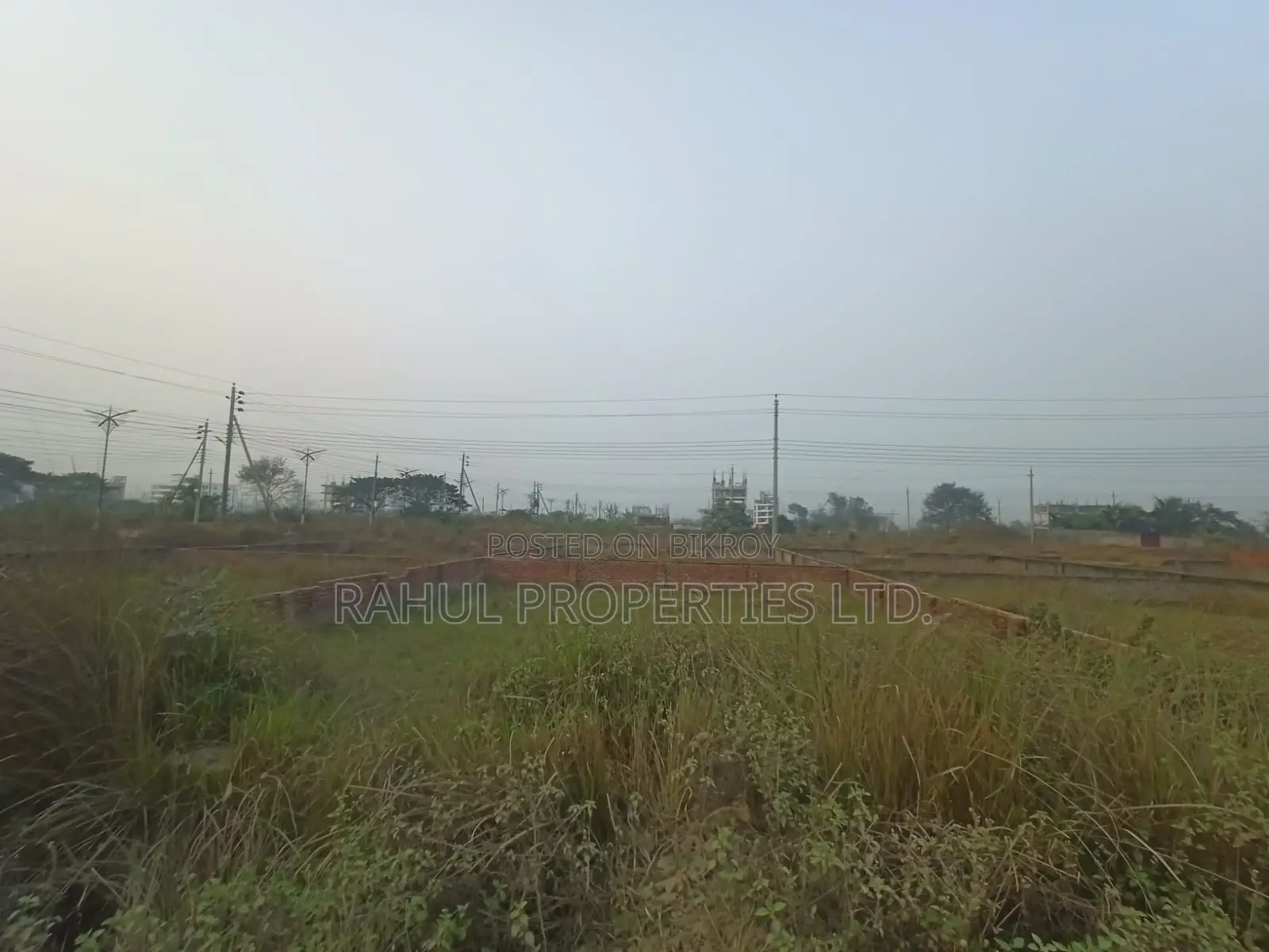 P Block { 3 Katha } Land Sale Bashundhara R/A,