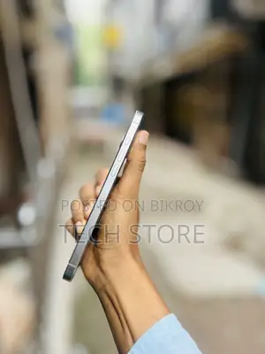 অ্যাপল আইফোন ১৬ প্রো ম্যাক্স ২৫৬ জিবি সিলভার