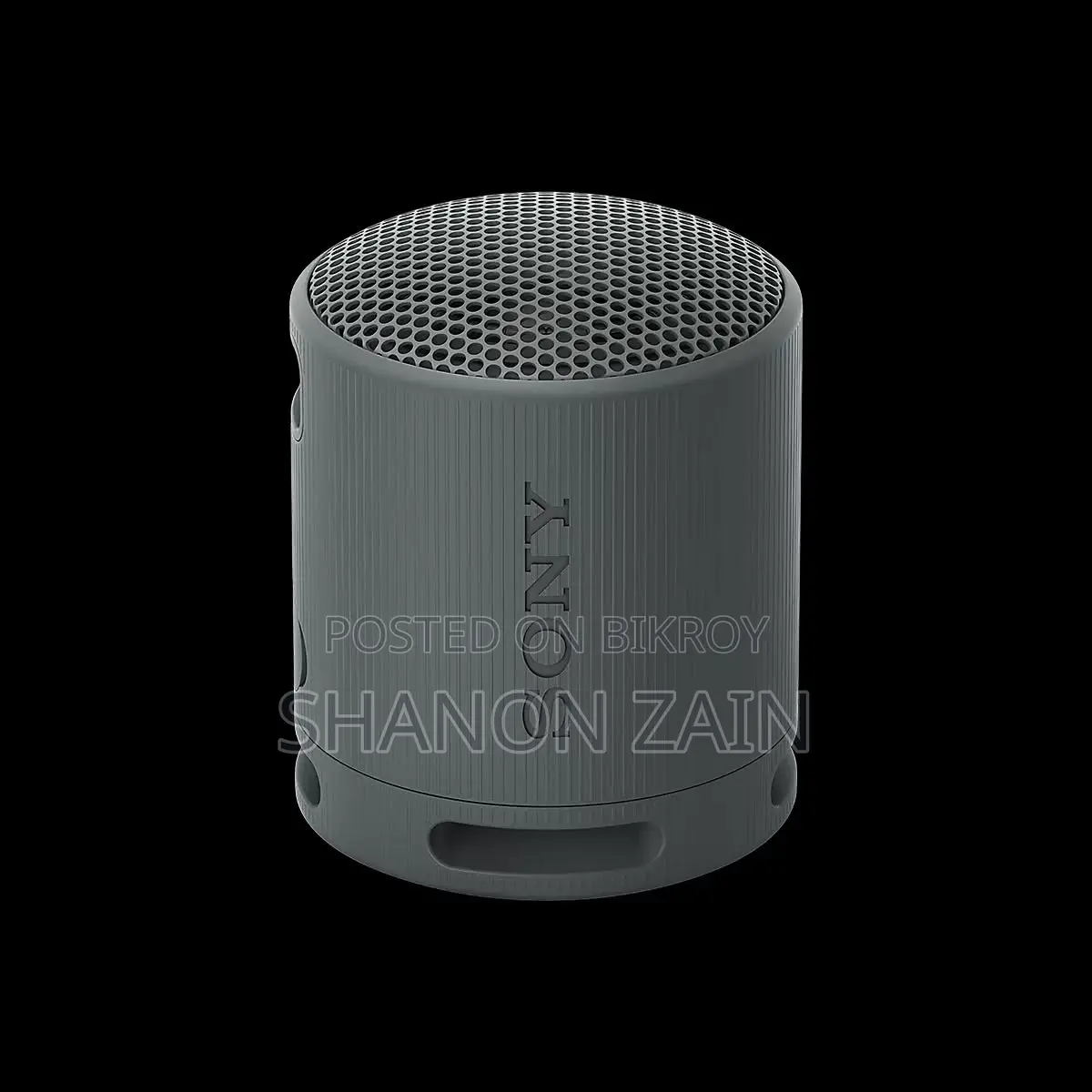 Sony SRS-XB100