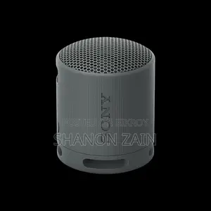 Sony SRS-XB100