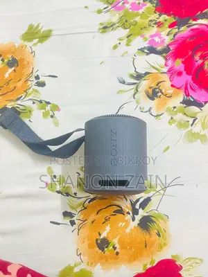 Sony SRS-XB100
