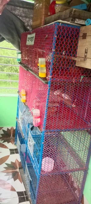 This cage is urgently for sale