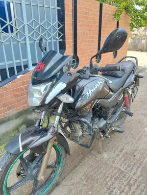 হিরো হাঙ্ক ২০১৬ ব্রাউন