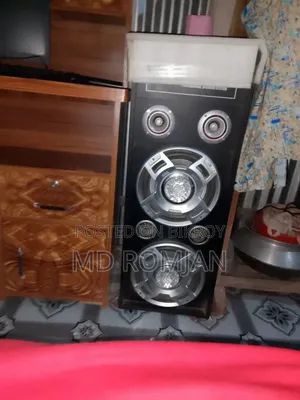 2 Months Used 8 Inch Double Speaker DJ Sound Box