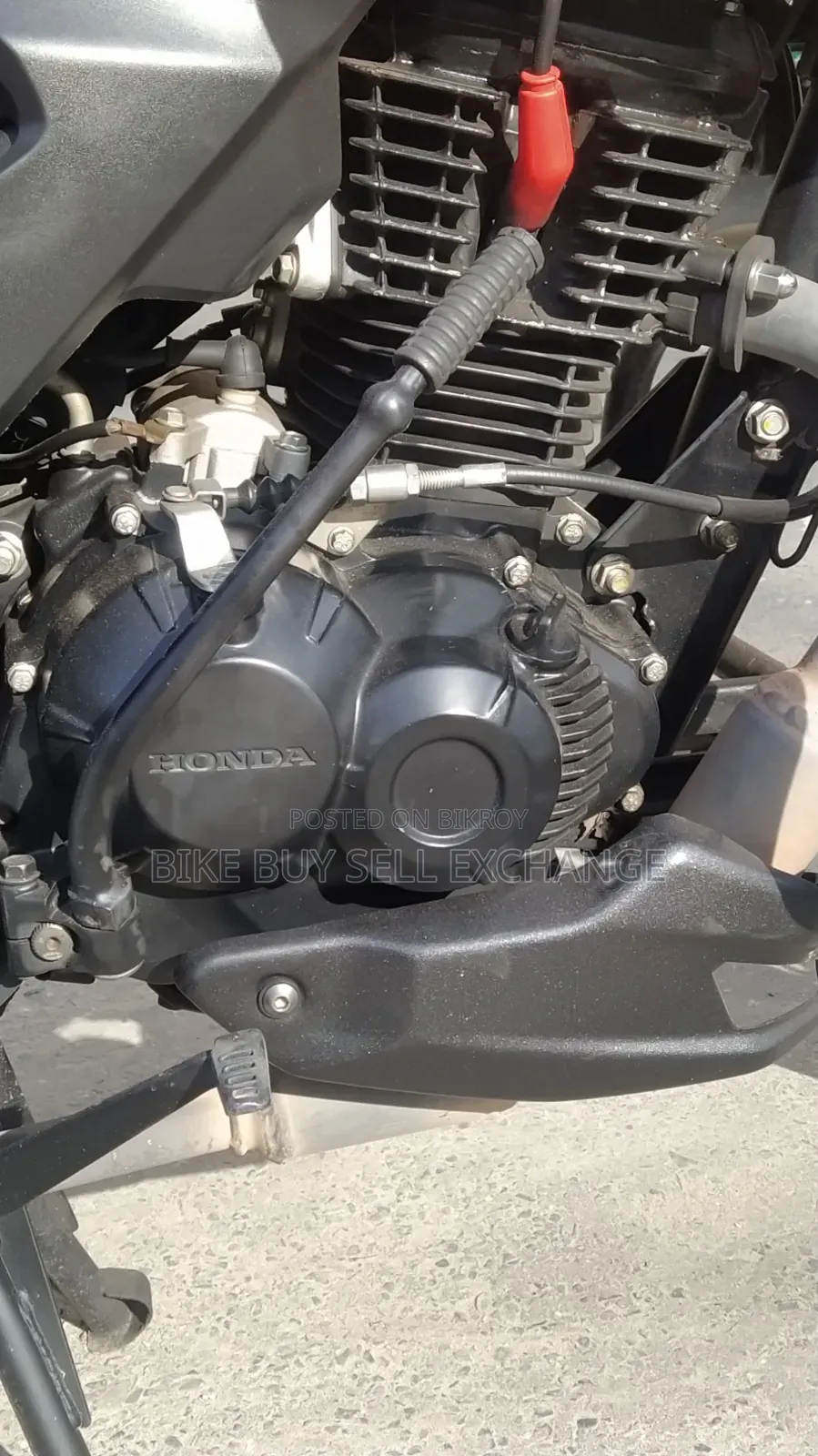 Honda 2024 Red