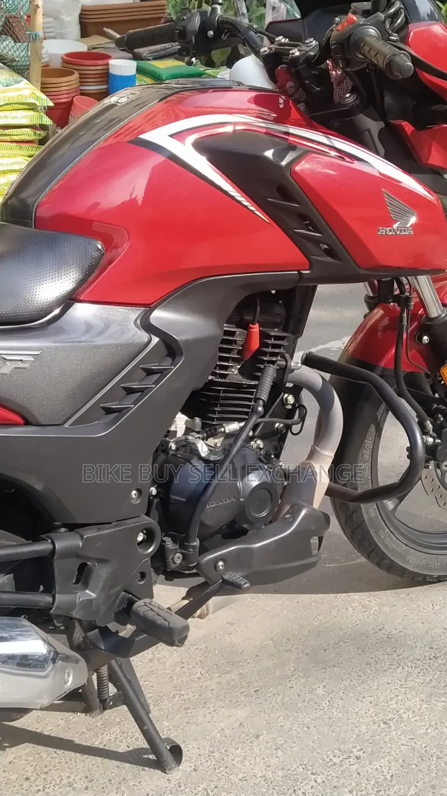 Honda 2024 Red