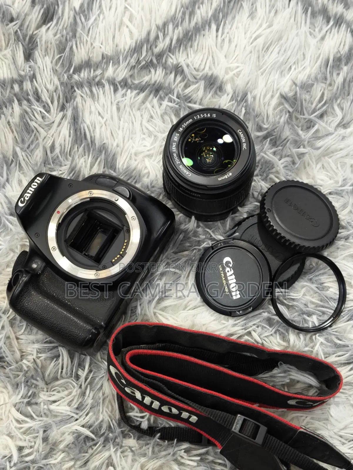 Canon 1200D With 18-55mm Kit Lens