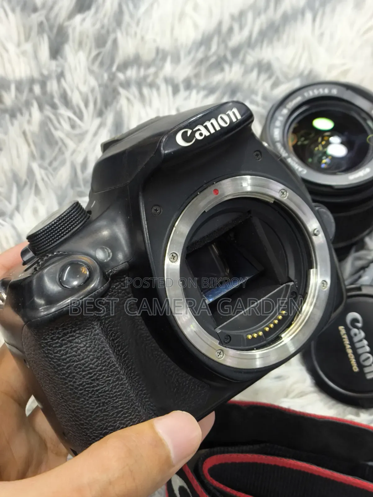 Canon 1200D With 18-55mm Kit Lens