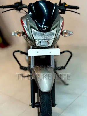 টিভিএস মেট্রো প্লাস ২০২৪ সিলভার