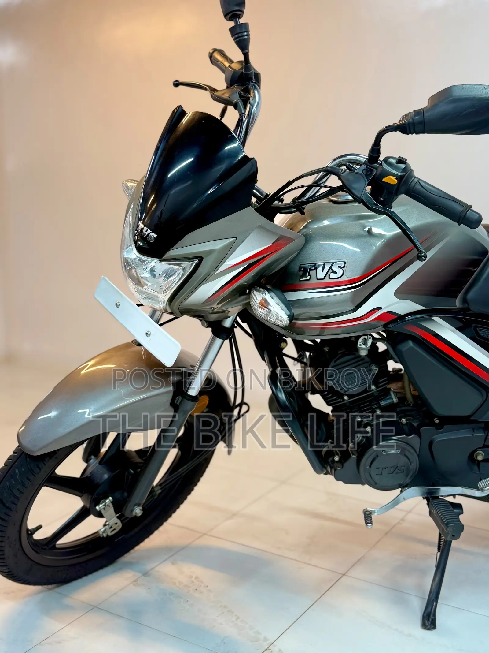টিভিএস মেট্রো প্লাস ২০২৪ সিলভার