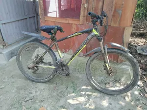 ফনিক্স গিয়ার সাইকেল। এলমনিয়াম বডি। ৭ গিয়ার
