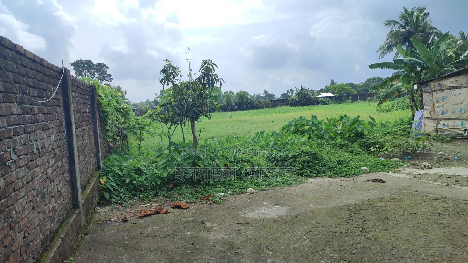 আরসিসি বাউন্ডারী করা ১৩ বিঘা জমি বিক্রি হবে