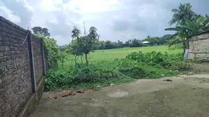 আরসিসি বাউন্ডারী করা ১৩ বিঘা জমি বিক্রি হবে