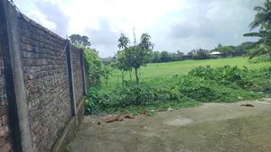 আরসিসি বাউন্ডারী করা ১৩ বিঘা জমি বিক্রি হবে