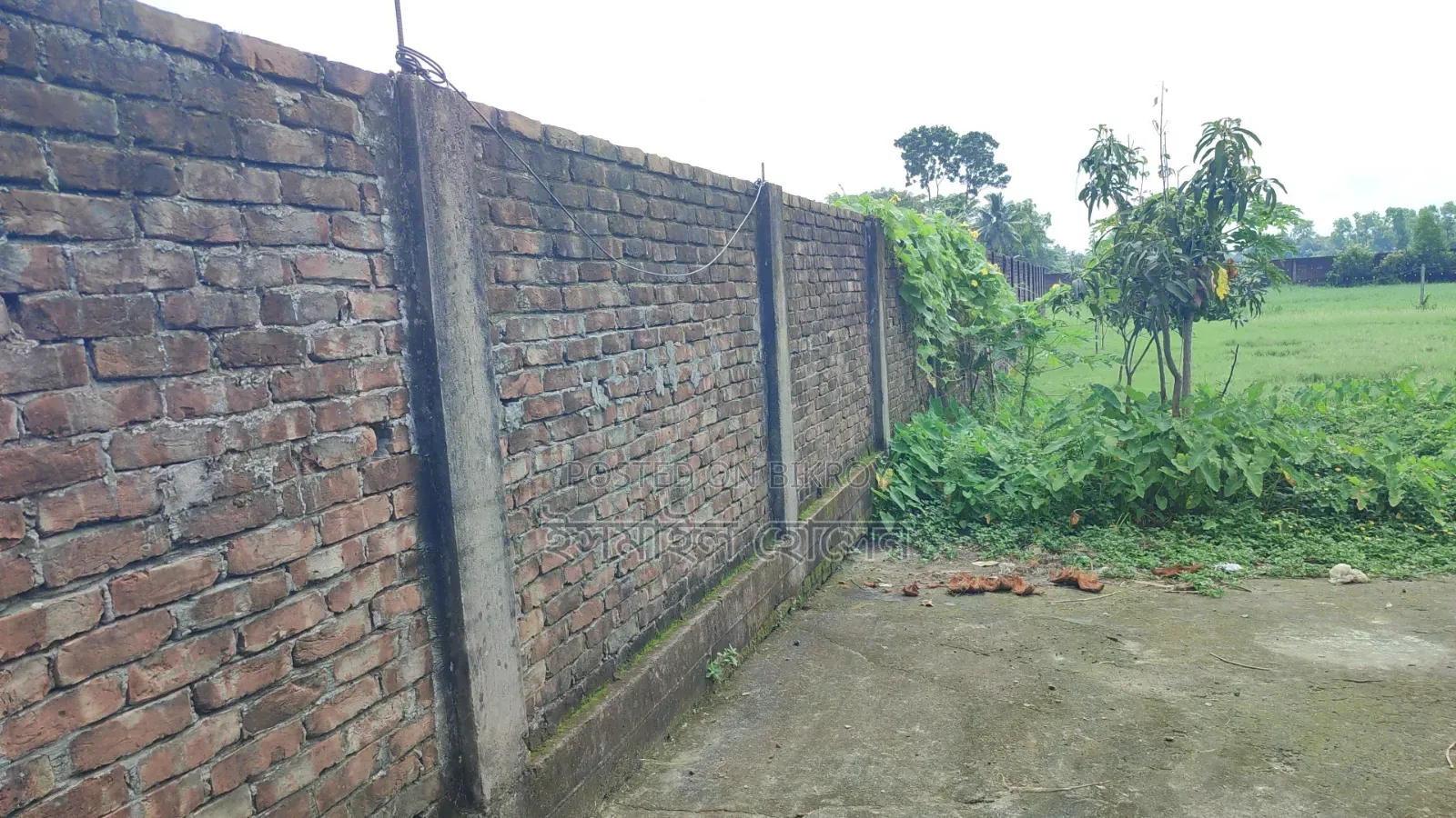 আরসিসি বাউন্ডারী করা ১৩ বিঘা জমি বিক্রি হবে
