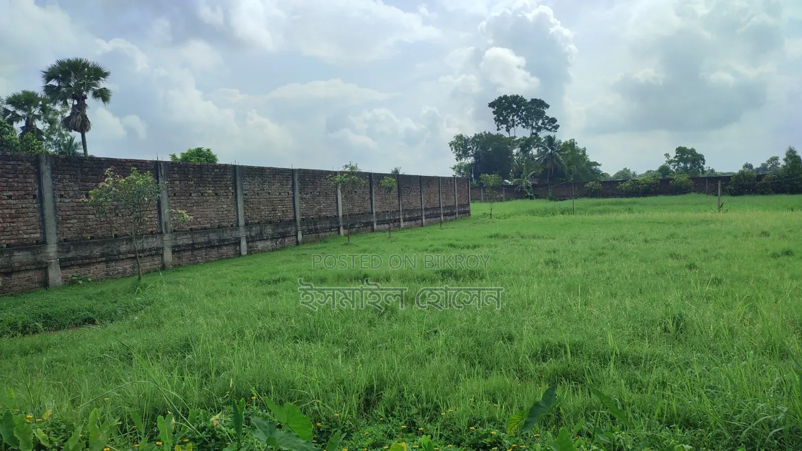 আরসিসি বাউন্ডারী করা ১৩ বিঘা জমি বিক্রি হবে