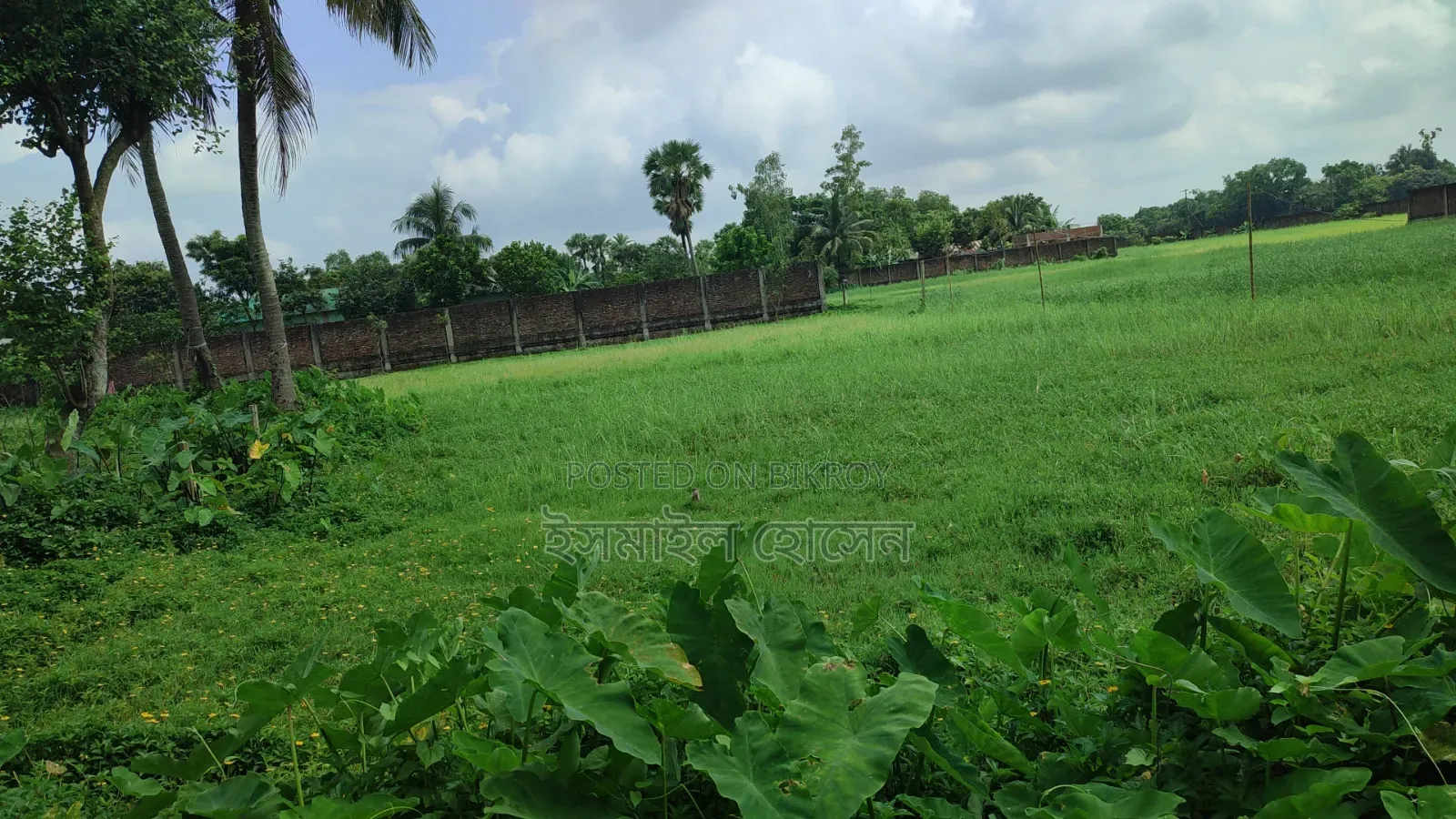 আরসিসি বাউন্ডারী করা ১৩ বিঘা জমি বিক্রি হবে
