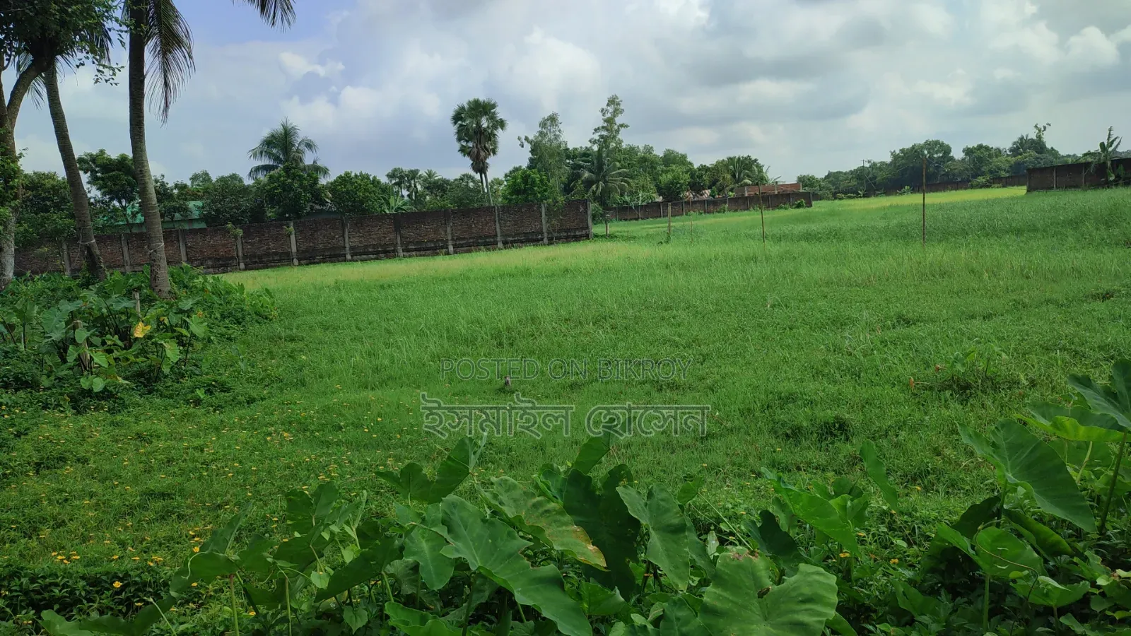 আরসিসি বাউন্ডারী করা ১৩ বিঘা জমি বিক্রি হবে