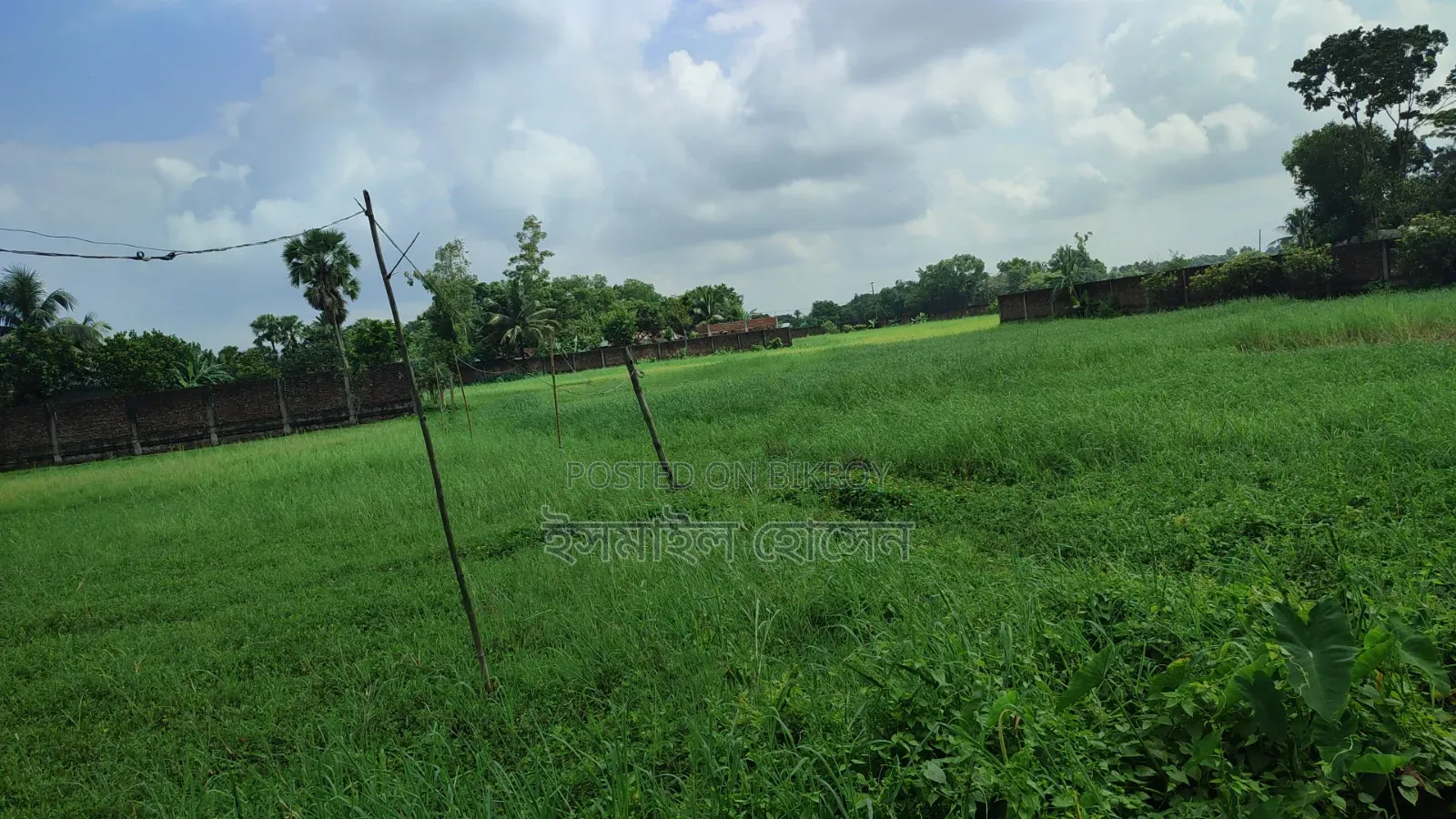 আরসিসি বাউন্ডারী করা ১৩ বিঘা জমি বিক্রি হবে