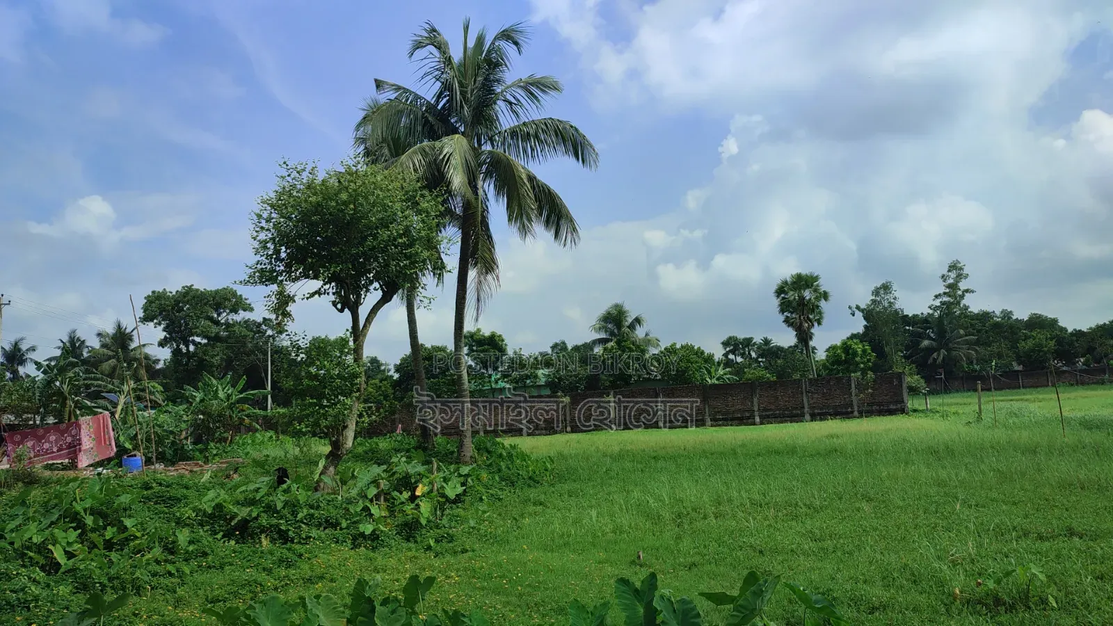 আরসিসি বাউন্ডারী করা ১৩ বিঘা জমি বিক্রি হবে