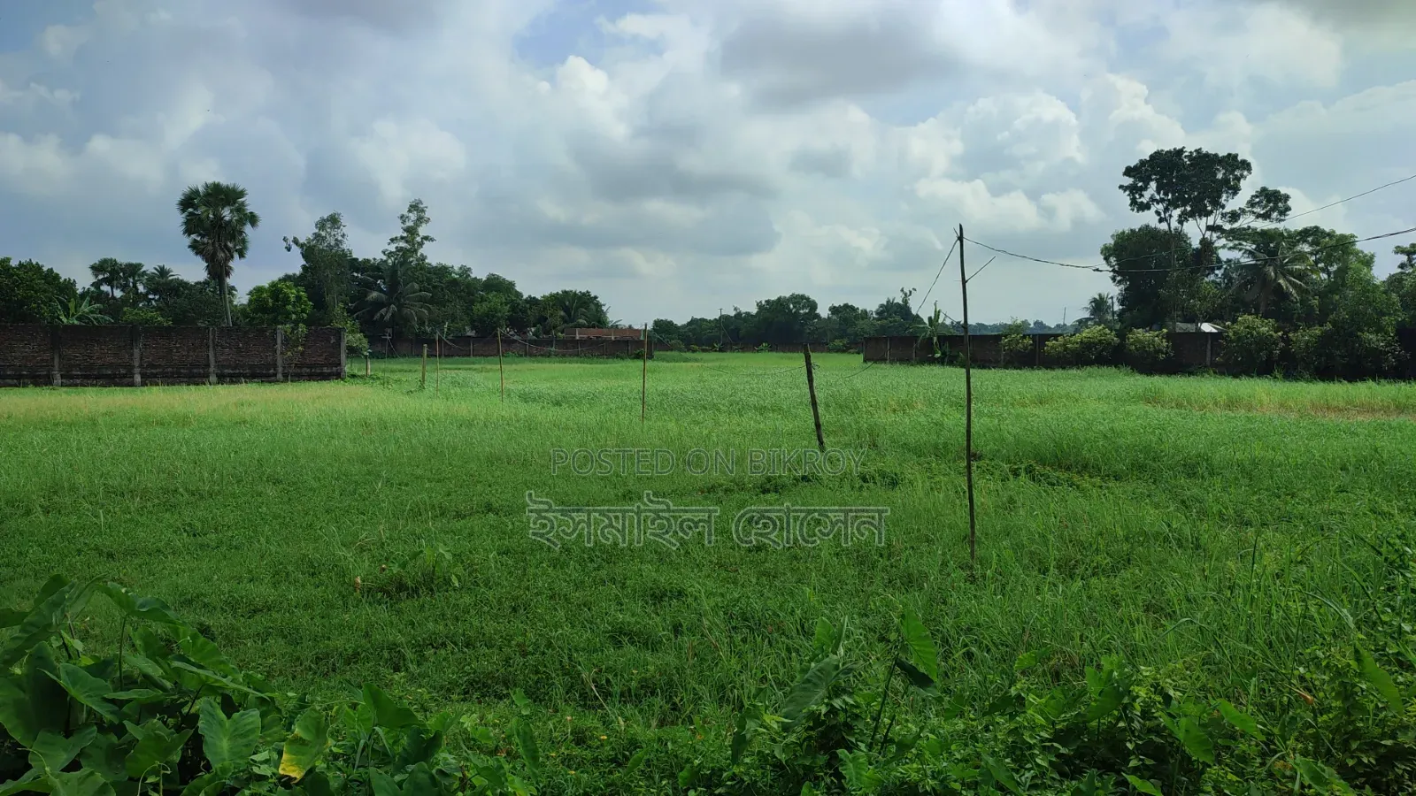 আরসিসি বাউন্ডারী করা ১৩ বিঘা জমি বিক্রি হবে