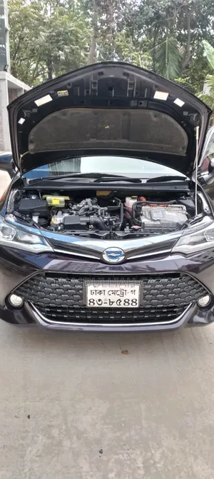 Toyota Corolla Fielder 2015 Purple