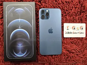 Apple iPhone 12 Pro Max 256 GB Blue