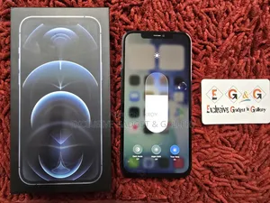 Apple iPhone 12 Pro Max 256 GB Blue