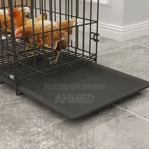 Bird Cage Tray