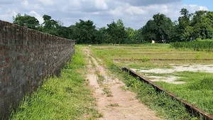 Jhikra Probhati