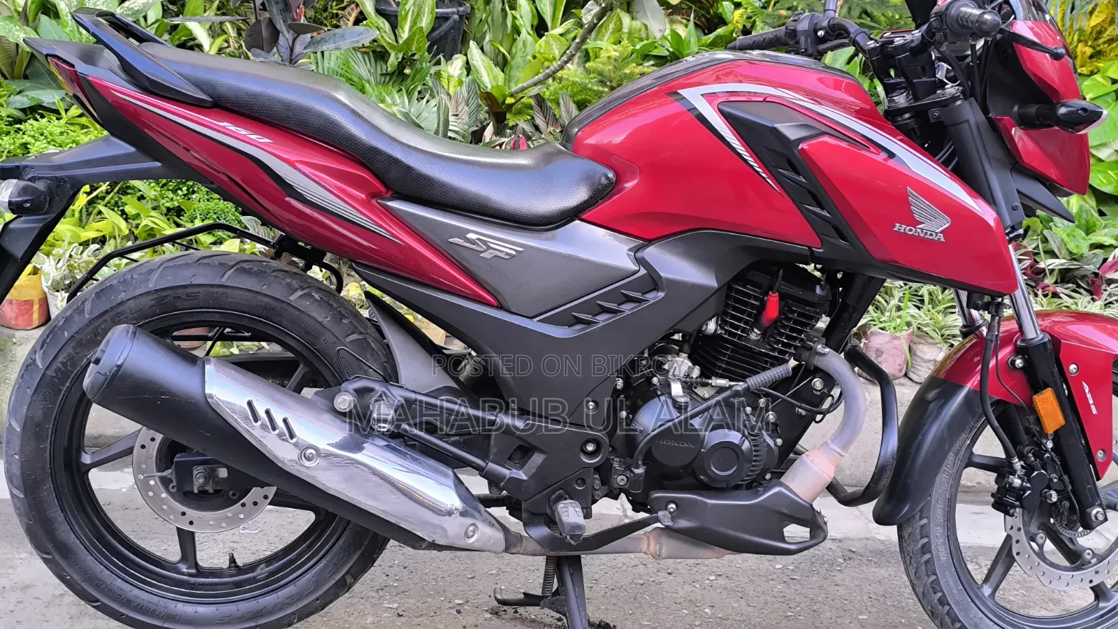 Honda 2024 Red