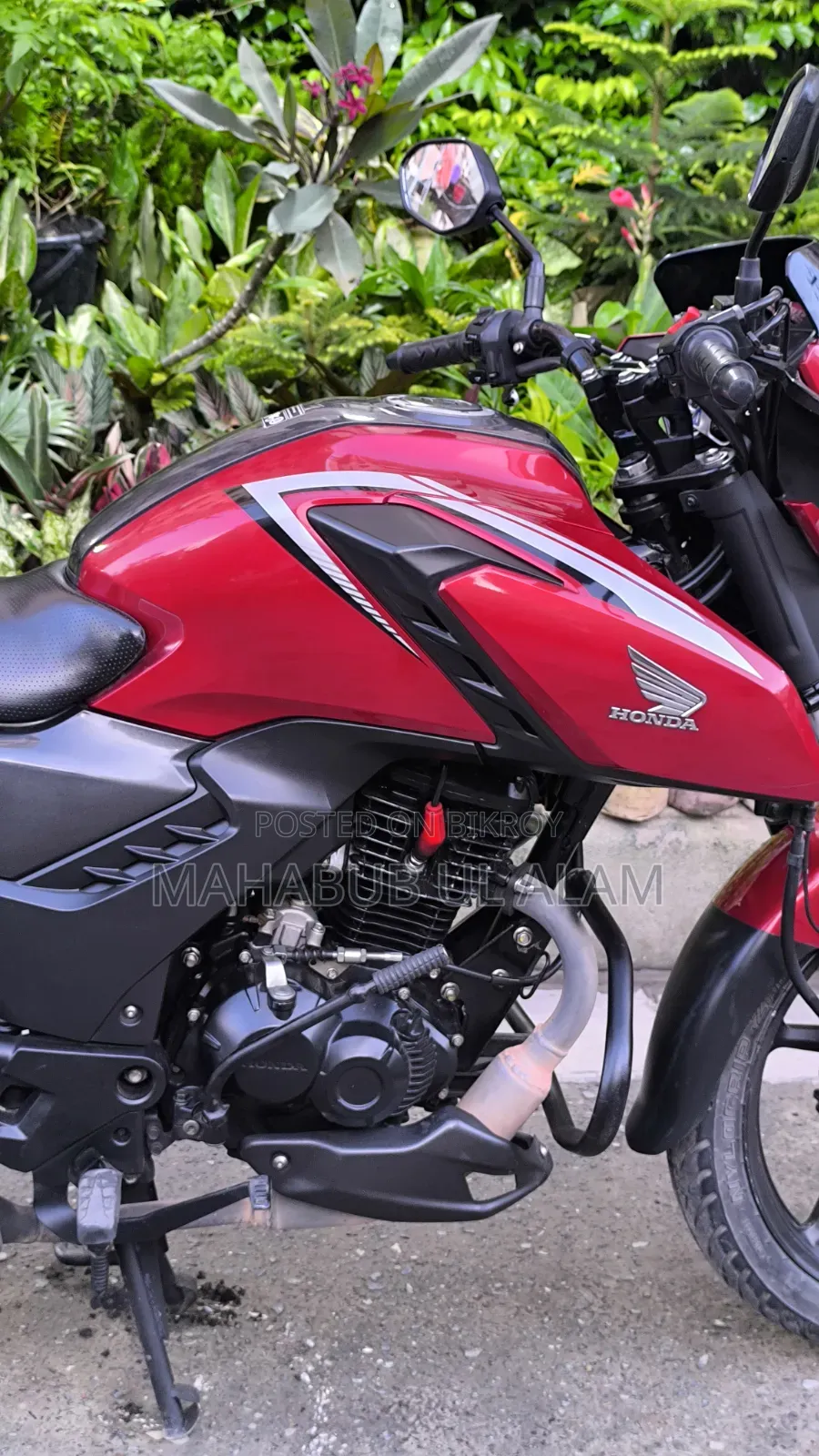 Honda 2024 Red