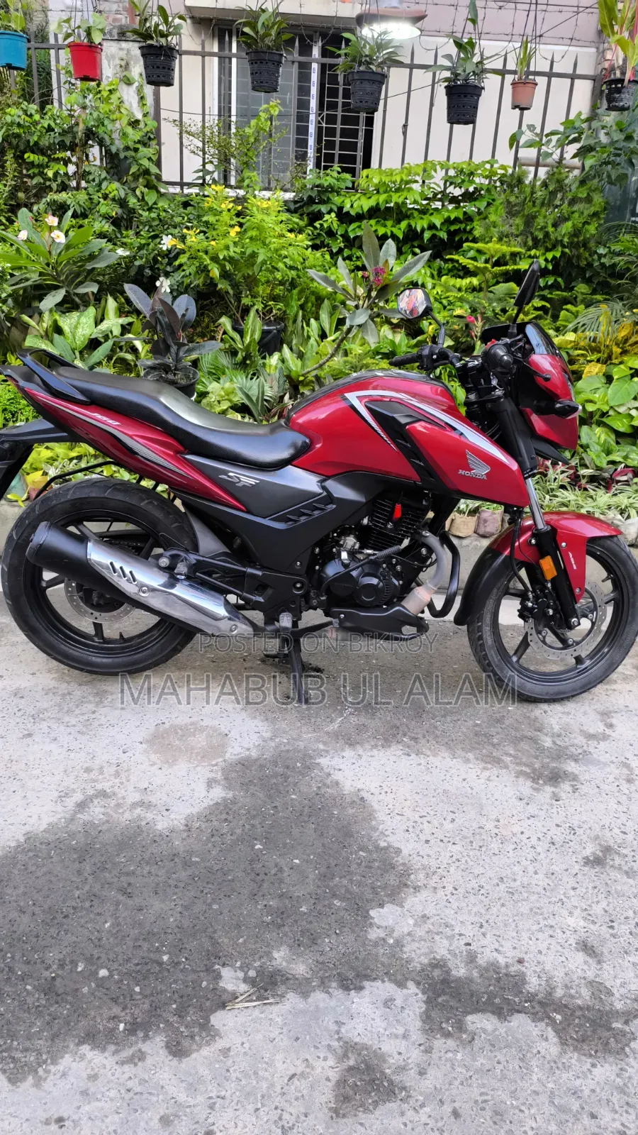 Honda 2024 Red