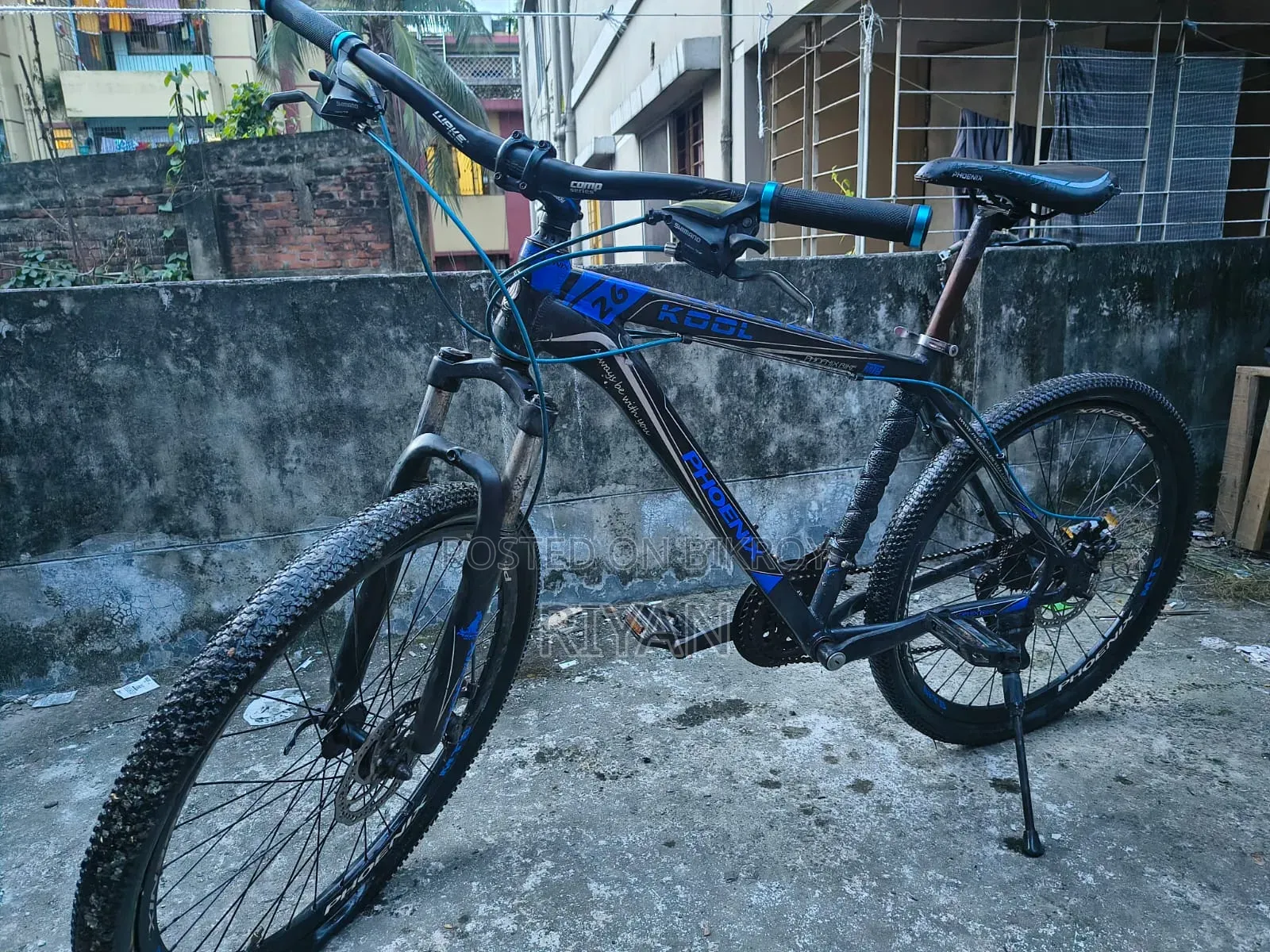 Phoenix Bicycle