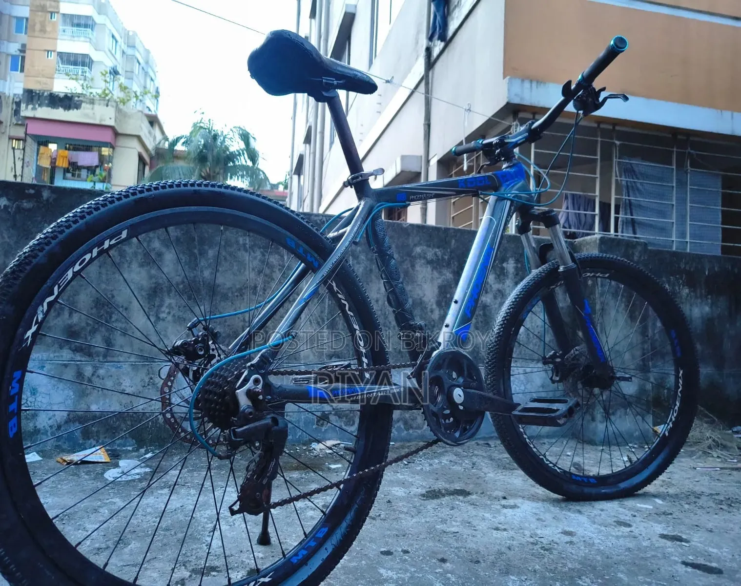 Phoenix Bicycle