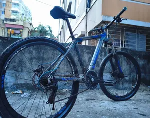 Phoenix Bicycle