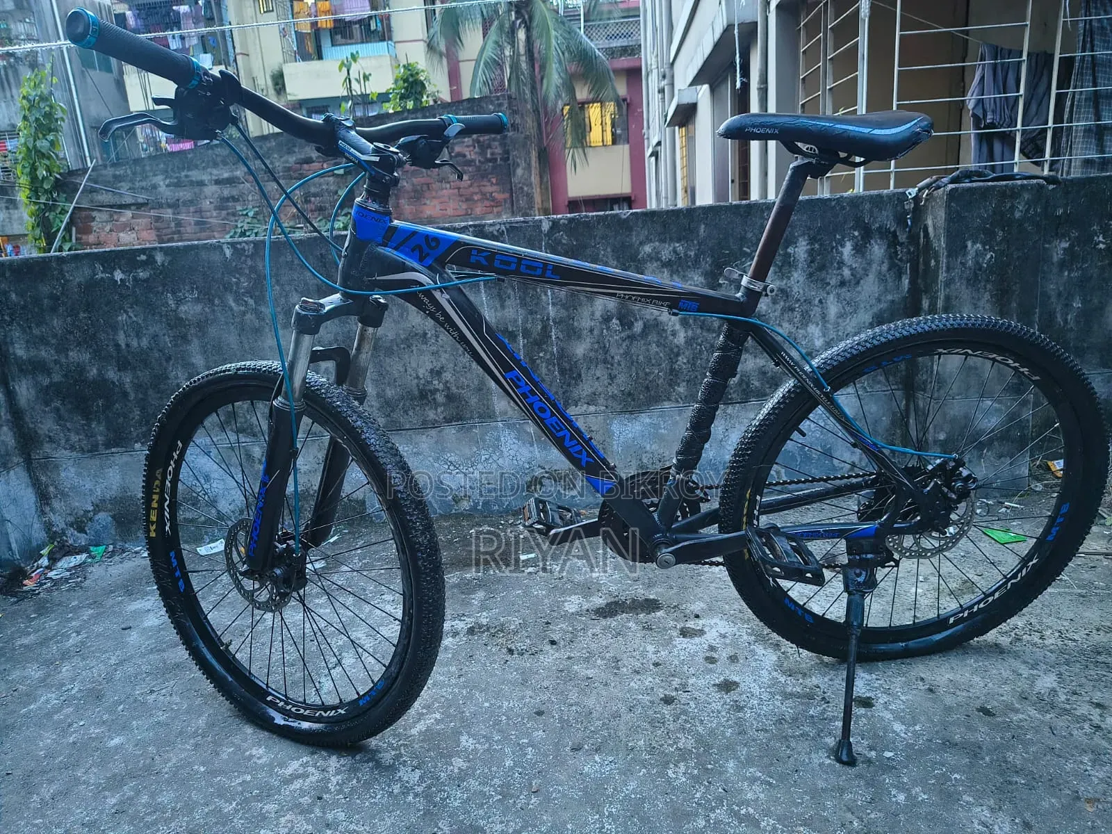 Phoenix Bicycle