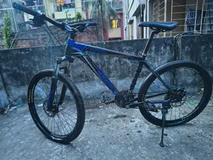 Phoenix Bicycle