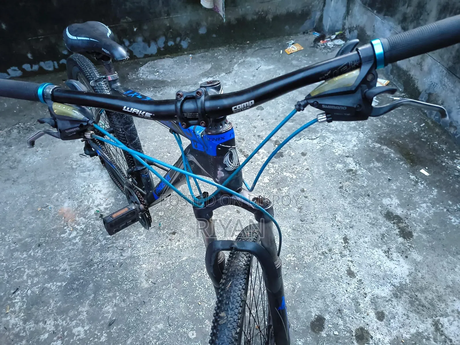 Phoenix Bicycle