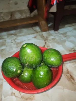 অ্যাভোকেডো ফল