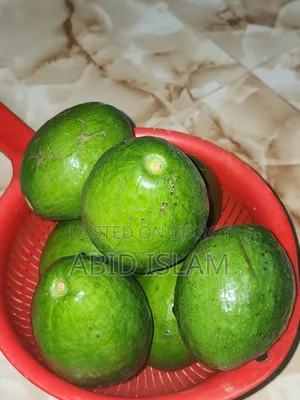 অ্যাভোকেডো ফল