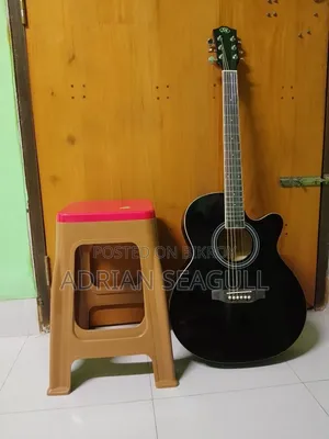 গিটার এসএক্স অ্যাকৌস্টিক